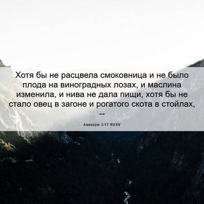 Picture 06 - Аввакум 3:17 RUSV - Хотя бы не расцвела - Bible Verse Picture