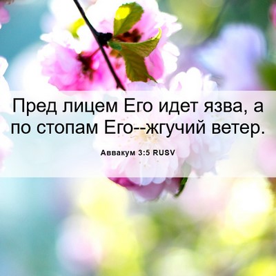 Picture 06 - Аввакум 3:5 RUSV - Пред лицем Его идет язва, а - Bible Verse Picture