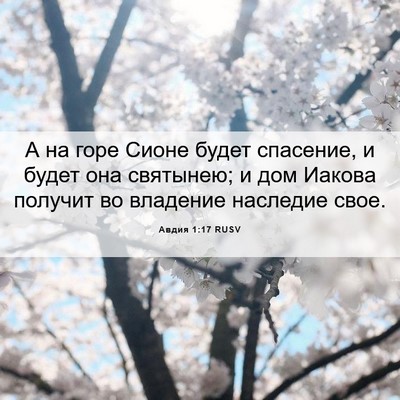 Picture 06 - Авдия 1:17 RUSV - А на горе Сионе будет - Bible Verse Picture