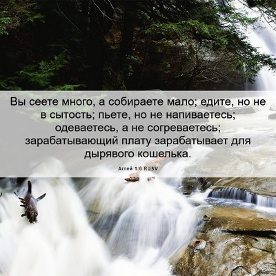 Picture 06 - Аггей 1:6 RUSV - Вы сеете много, а собираете - Bible Verse Picture