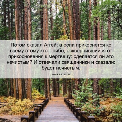 Picture 06 - Аггей 2:13 RUSV - Потом сказал Аггей: а если - Bible Verse Picture
