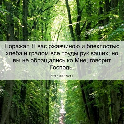 Picture 06 - Аггей 2:17 RUSV - Поражал Я вас ржавчиною и - Bible Verse Picture