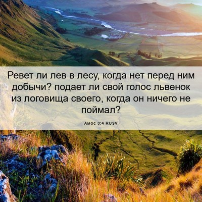Picture 06 - Амос 3:4 RUSV - Ревет ли лев в лесу, когда - Bible Verse Picture