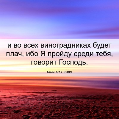 Picture 06 - Амос 5:17 RUSV - и во всех виноградниках - Bible Verse Picture