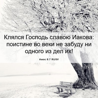 Picture 06 - Амос 8:7 RUSV - Клялся Господь славою - Bible Verse Picture