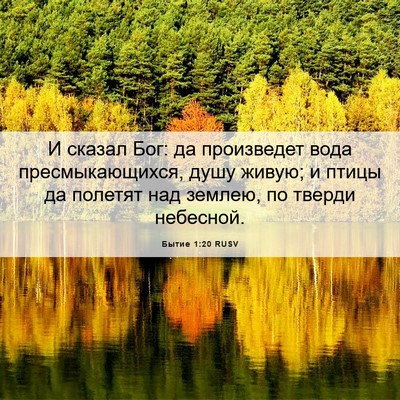Picture 06 - Бытие 1:20 RUSV - И сказал Бог: да произведет - Bible Verse Picture