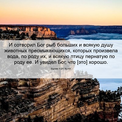 Picture 06 - Бытие 1:21 RUSV - И сотворил Бог рыб больших - Bible Verse Picture
