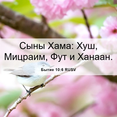 Picture 06 - Бытие 10:6 RUSV - Сыны Хама: Хуш, Мицраим, Фут - Bible Verse Picture