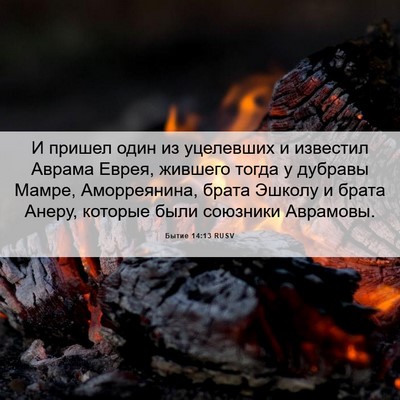 Picture 06 - Бытие 14:13 RUSV - И пришел один из уцелевших - Bible Verse Picture