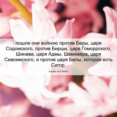 Picture 06 - Бытие 14:2 RUSV - пошли они войною против - Bible Verse Picture