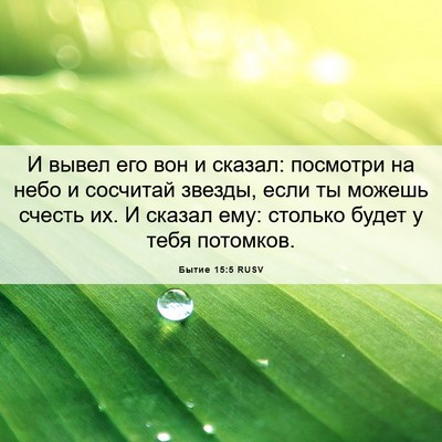 Picture 06 - Бытие 15:5 RUSV - И вывел его вон и сказал: - Bible Verse Picture