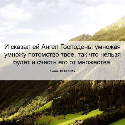 Picture 06 - Бытие 16:10 RUSV - И сказал ей Ангел - Bible Verse Picture