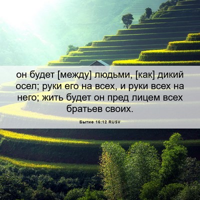 Picture 06 - Бытие 16:12 RUSV - он будет [между] людьми, - Bible Verse Picture