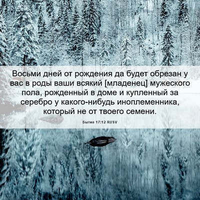 Picture 06 - Бытие 17:12 RUSV - Восьми дней от рождения да - Bible Verse Picture