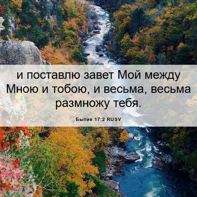 Picture 06 - Бытие 17:2 RUSV - и поставлю завет Мой между - Bible Verse Picture