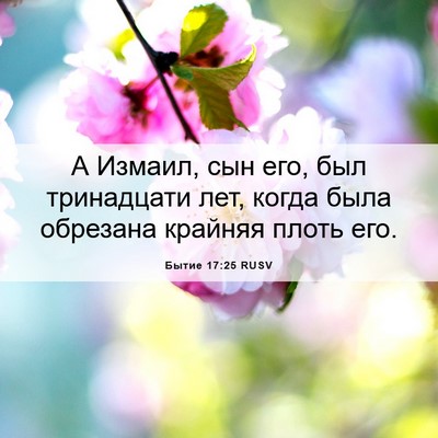 Picture 06 - Бытие 17:25 RUSV - А Измаил, сын его, был - Bible Verse Picture