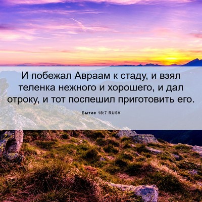 Picture 06 - Бытие 18:7 RUSV - И побежал Авраам к стаду, и - Bible Verse Picture
