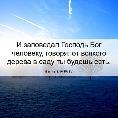 Picture 06 - Бытие 2:16 RUSV - И заповедал Господь Бог - Bible Verse Picture