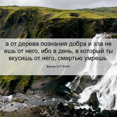 Picture 06 - Бытие 2:17 RUSV - а от дерева познания добра - Bible Verse Picture
