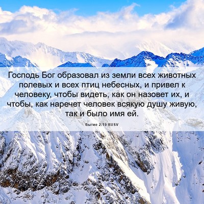 Picture 06 - Бытие 2:19 RUSV - Господь Бог образовал из - Bible Verse Picture