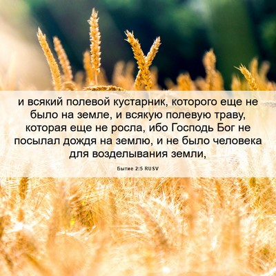 Picture 06 - Бытие 2:5 RUSV - и всякий полевой - Bible Verse Picture