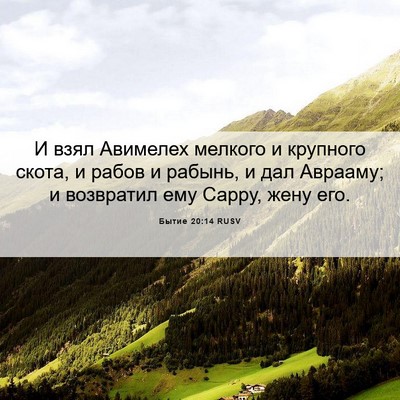 Picture 06 - Бытие 20:14 RUSV - И взял Авимелех мелкого и - Bible Verse Picture