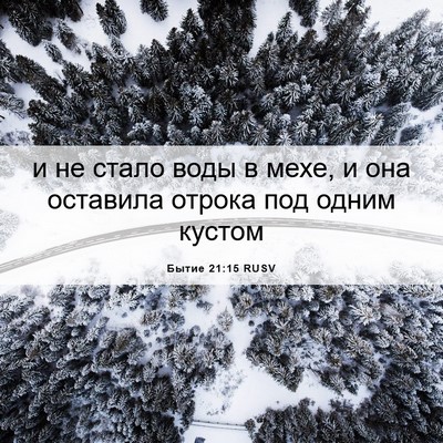 Picture 06 - Бытие 21:15 RUSV - и не стало воды в мехе, и - Bible Verse Picture