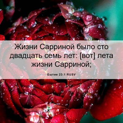 Picture 06 - Бытие 23:1 RUSV - Жизни Сарриной было сто - Bible Verse Picture