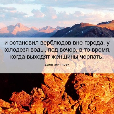 Picture 06 - Бытие 24:11 RUSV - и остановил верблюдов вне - Bible Verse Picture