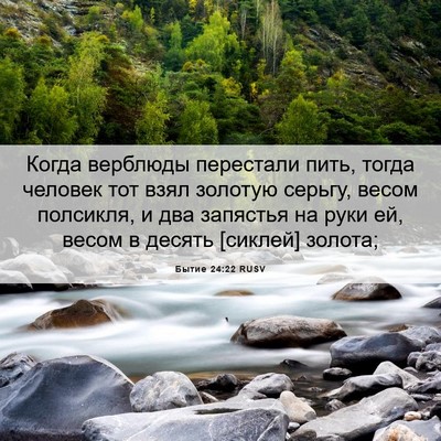 Picture 06 - Бытие 24:22 RUSV - Когда верблюды перестали - Bible Verse Picture