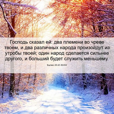 Picture 06 - Бытие 25:23 RUSV - Господь сказал ей: два - Bible Verse Picture