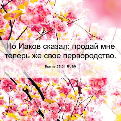 Picture 06 - Бытие 25:31 RUSV - Но Иаков сказал: продай мне - Bible Verse Picture