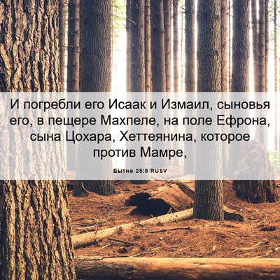 Picture 06 - Бытие 25:9 RUSV - И погребли его Исаак и - Bible Verse Picture
