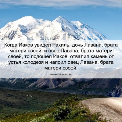 Picture 06 - Бытие 29:10 RUSV - Когда Иаков увидел Рахиль, - Bible Verse Picture