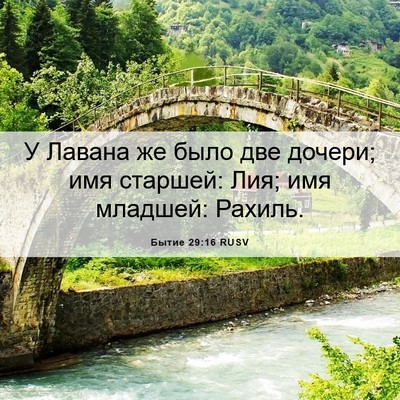 Picture 06 - Бытие 29:16 RUSV - У Лавана же было две - Bible Verse Picture
