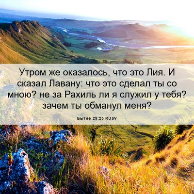 Picture 06 - Бытие 29:25 RUSV - Утром же оказалось, что это - Bible Verse Picture
