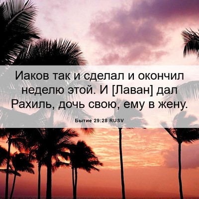 Picture 06 - Бытие 29:28 RUSV - Иаков так и сделал и - Bible Verse Picture