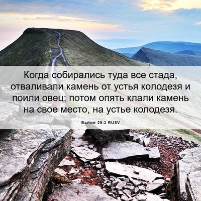 Picture 06 - Бытие 29:3 RUSV - Когда собирались туда все - Bible Verse Picture