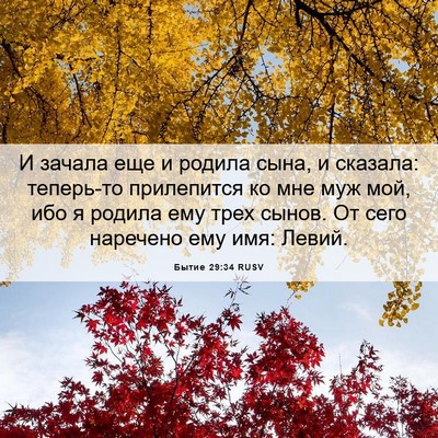 Picture 06 - Бытие 29:34 RUSV - И зачала еще и родила сына, - Bible Verse Picture