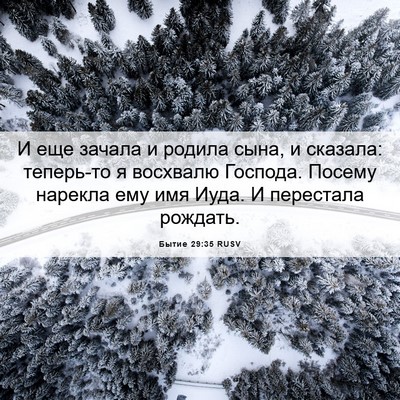 Picture 06 - Бытие 29:35 RUSV - И еще зачала и родила сына, - Bible Verse Picture