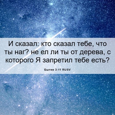 Picture 06 - Бытие 3:11 RUSV - И сказал: кто сказал тебе, - Bible Verse Picture