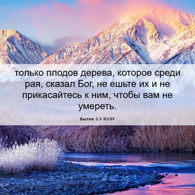 Picture 06 - Бытие 3:3 RUSV - только плодов дерева, - Bible Verse Picture