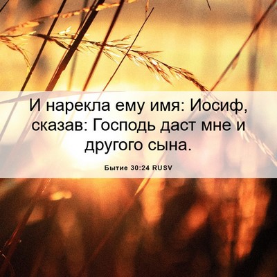 Picture 06 - Бытие 30:24 RUSV - И нарекла ему имя: Иосиф, - Bible Verse Picture