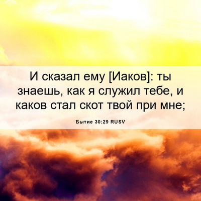 Picture 06 - Бытие 30:29 RUSV - И сказал ему [Иаков]: ты - Bible Verse Picture
