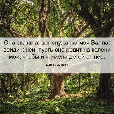 Picture 06 - Бытие 30:3 RUSV - Она сказала: вот служанка - Bible Verse Picture
