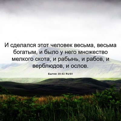 Picture 06 - Бытие 30:43 RUSV - И сделался этот человек - Bible Verse Picture