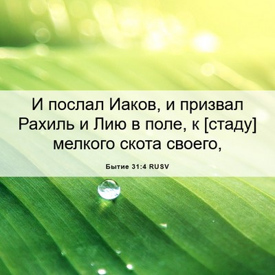 Picture 06 - Бытие 31:4 RUSV - И послал Иаков, и призвал - Bible Verse Picture