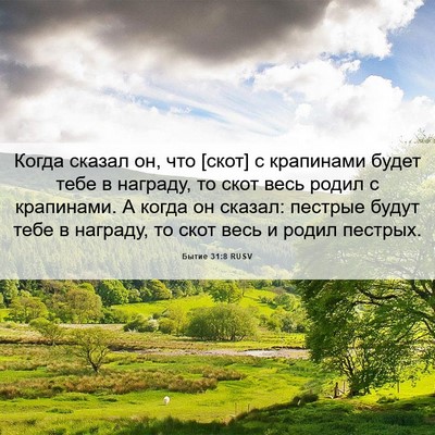 Picture 06 - Бытие 31:8 RUSV - Когда сказал он, что [скот] - Bible Verse Picture