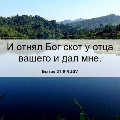 Picture 06 - Бытие 31:9 RUSV - И отнял Бог скот у отца - Bible Verse Picture