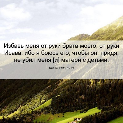 Picture 06 - Бытие 32:11 RUSV - Избавь меня от руки брата - Bible Verse Picture
